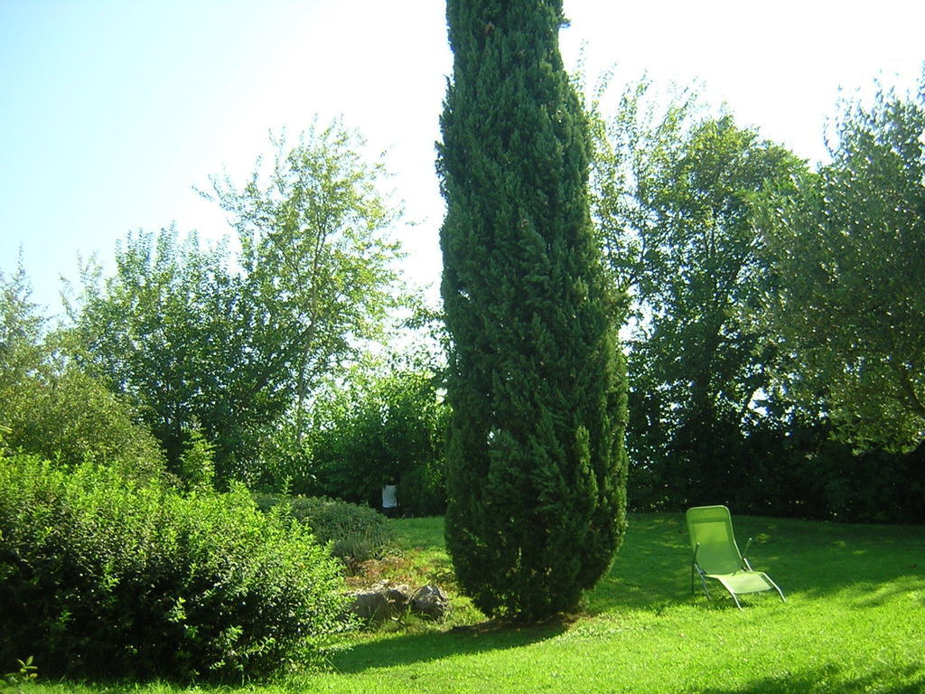 Agriturismo Trebisonda Country Resort Monzambano Zewnętrze zdjęcie
