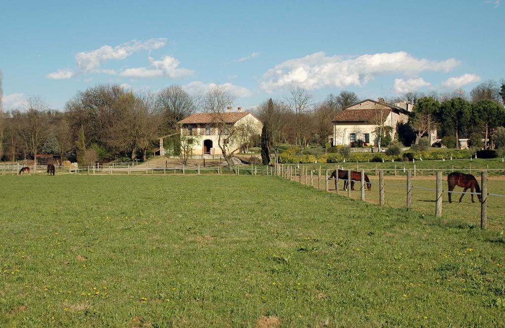 Agriturismo Trebisonda Country Resort Monzambano Zewnętrze zdjęcie